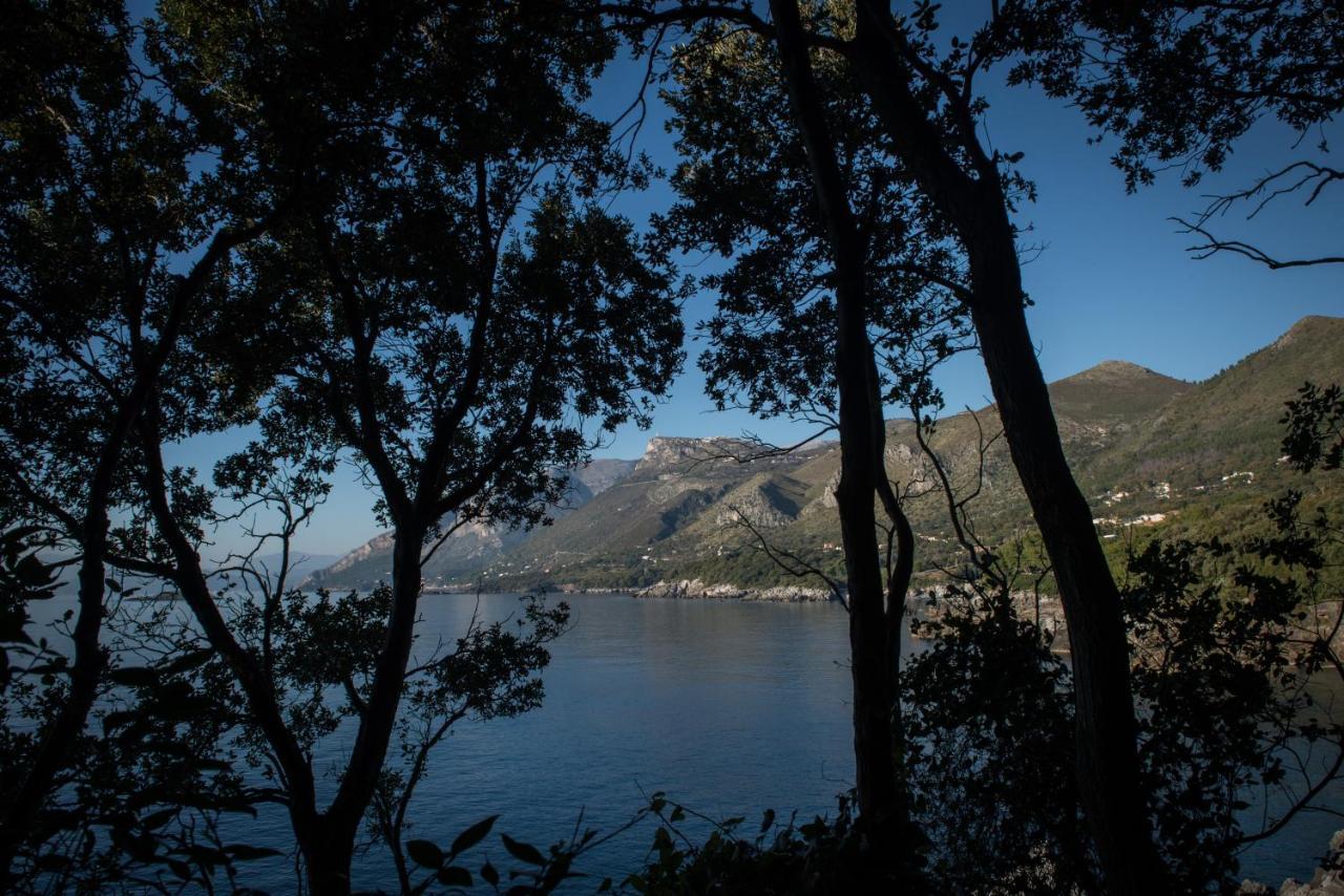 Amaranto Hotel Maratea Kültér fotó